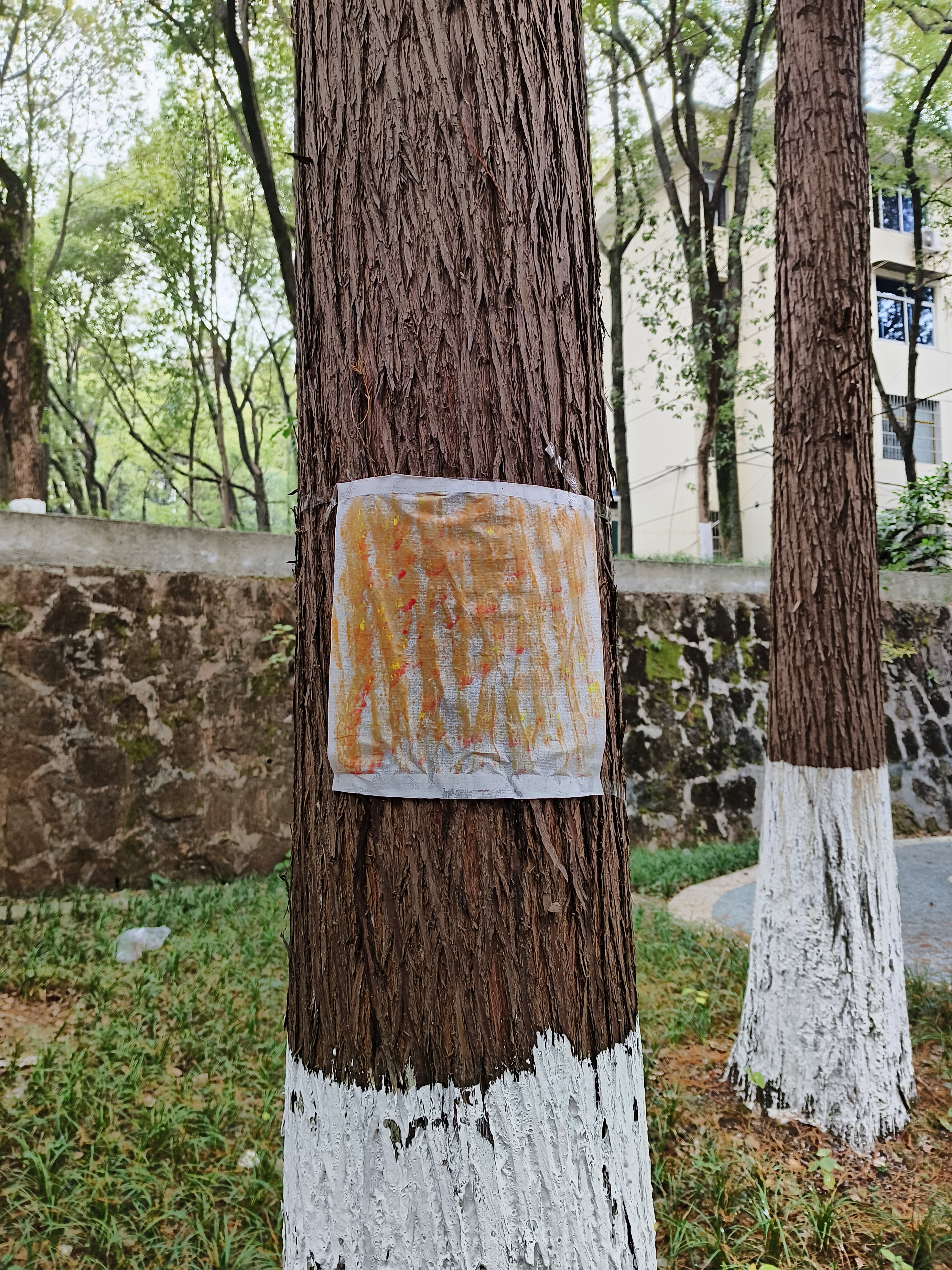 365英国上市公司